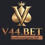 V44Bet Game