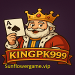 King Pk999 Game