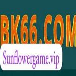 Bk66 Game