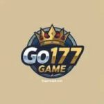 Go177 Game