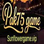 Pak75 Game