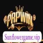 PRPwin Game