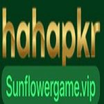 HAHAPKR Game