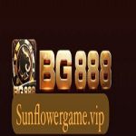 BG 888 Game