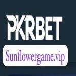 PKR Bet Game