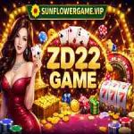 ZD22 Game