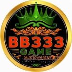 BB333 Game